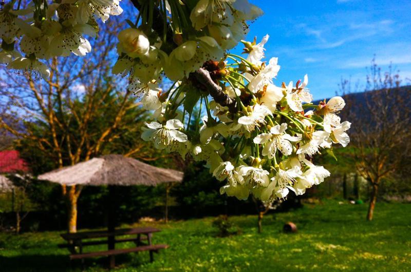 Arte Y Natura Valdivielso Quintana de Valdivielso Dış mekan fotoğraf