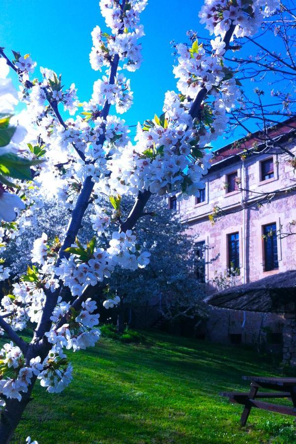 Arte Y Natura Valdivielso Quintana de Valdivielso Dış mekan fotoğraf